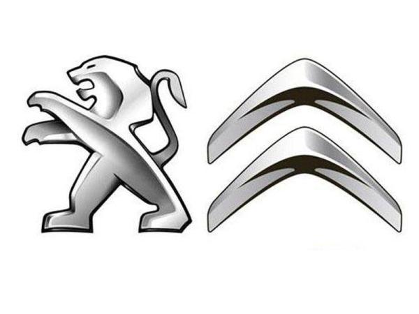 Колпачок ступицы колеса Peugeot-Citroen с эмблемой Peugeot 542183